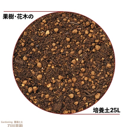�̼������ڤ������ڡ���25L