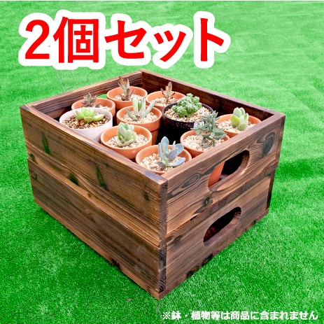 ǥ󥳥ƥʡʾƿ2ĥåȡ̵!!