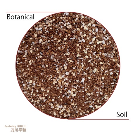 BOTANICALSOILʥܥ˥륽ˡ14L