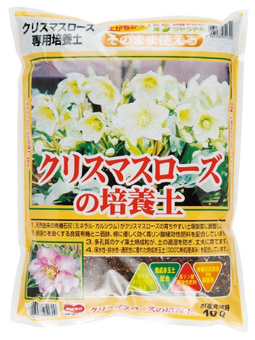 ���ꥹ�ޥ��������������ڡ���10L