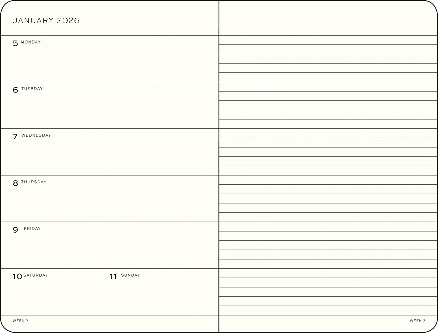 ���������꡼��ե�(���եȥ��С�) �ڡ��ѡ��Хå�(B6+) �饤���󥰥��� 2026ǯ