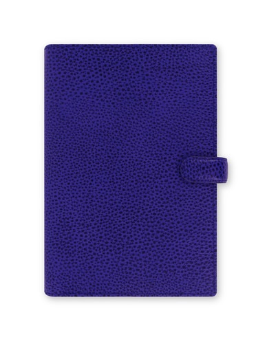 Filofax �ե��󥹥Х꡼ �Х��֥� �֥롼