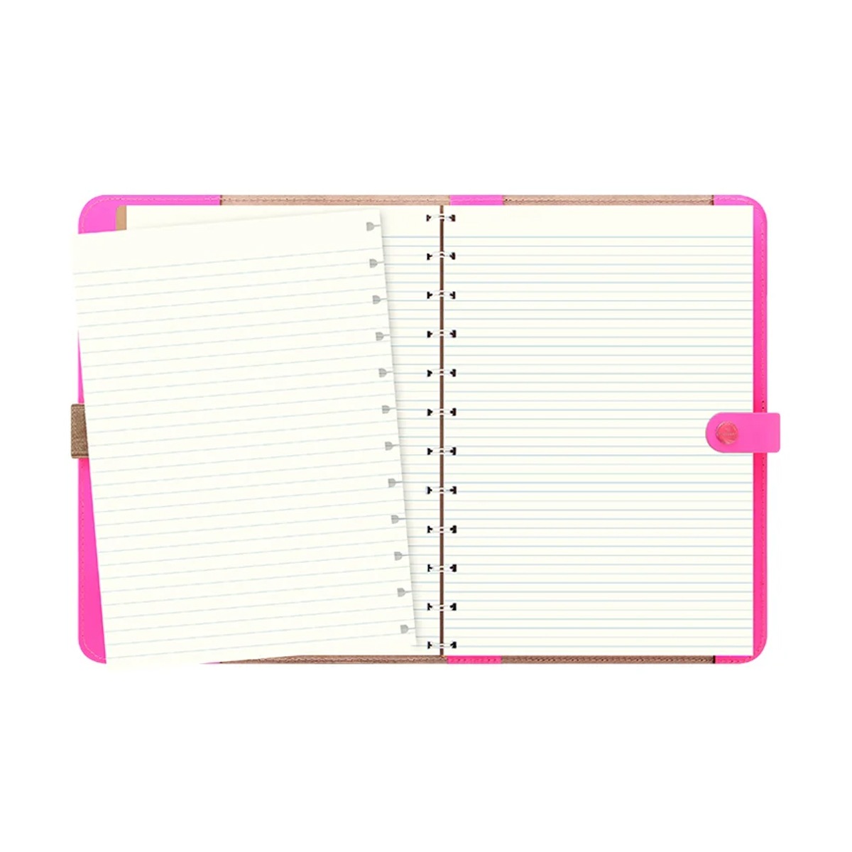 Filofax �ե��ꥪ ���ꥸ�ʥ� A5 �ԥ�