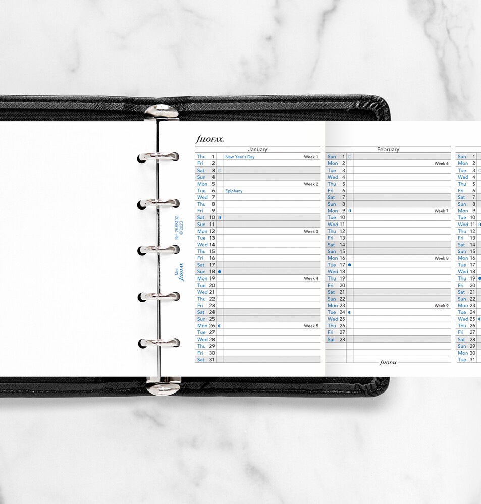 �С������륤�䡼�ץ��ʡ� 2026���ߥ�