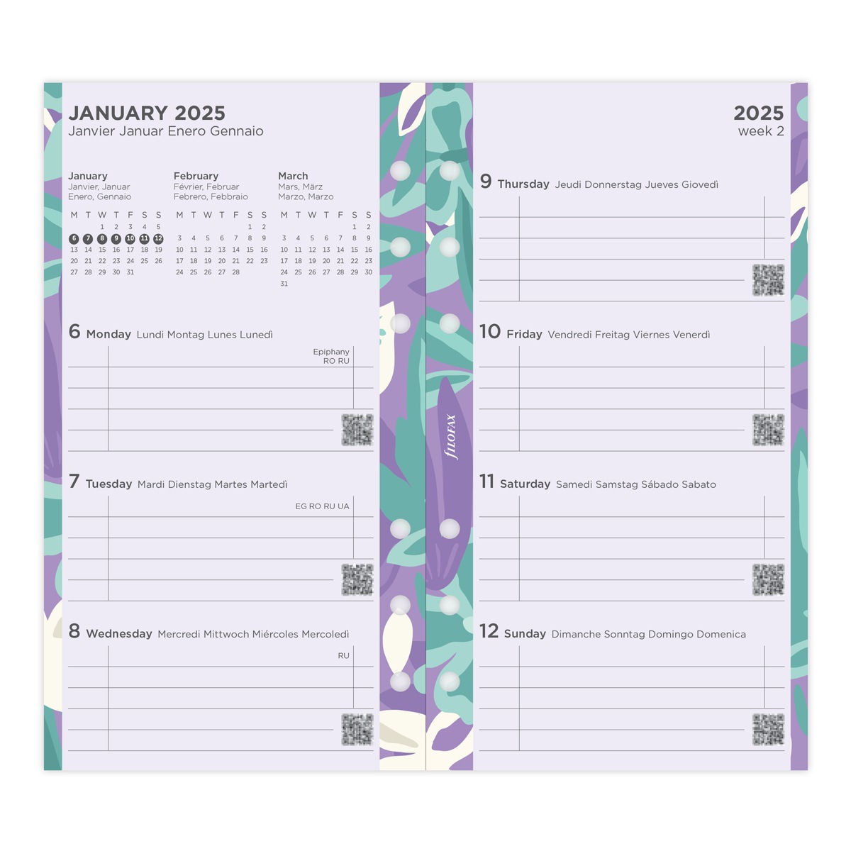 ե ꡼ե륻å 1 2026Х֥ 饹ȥ쥤