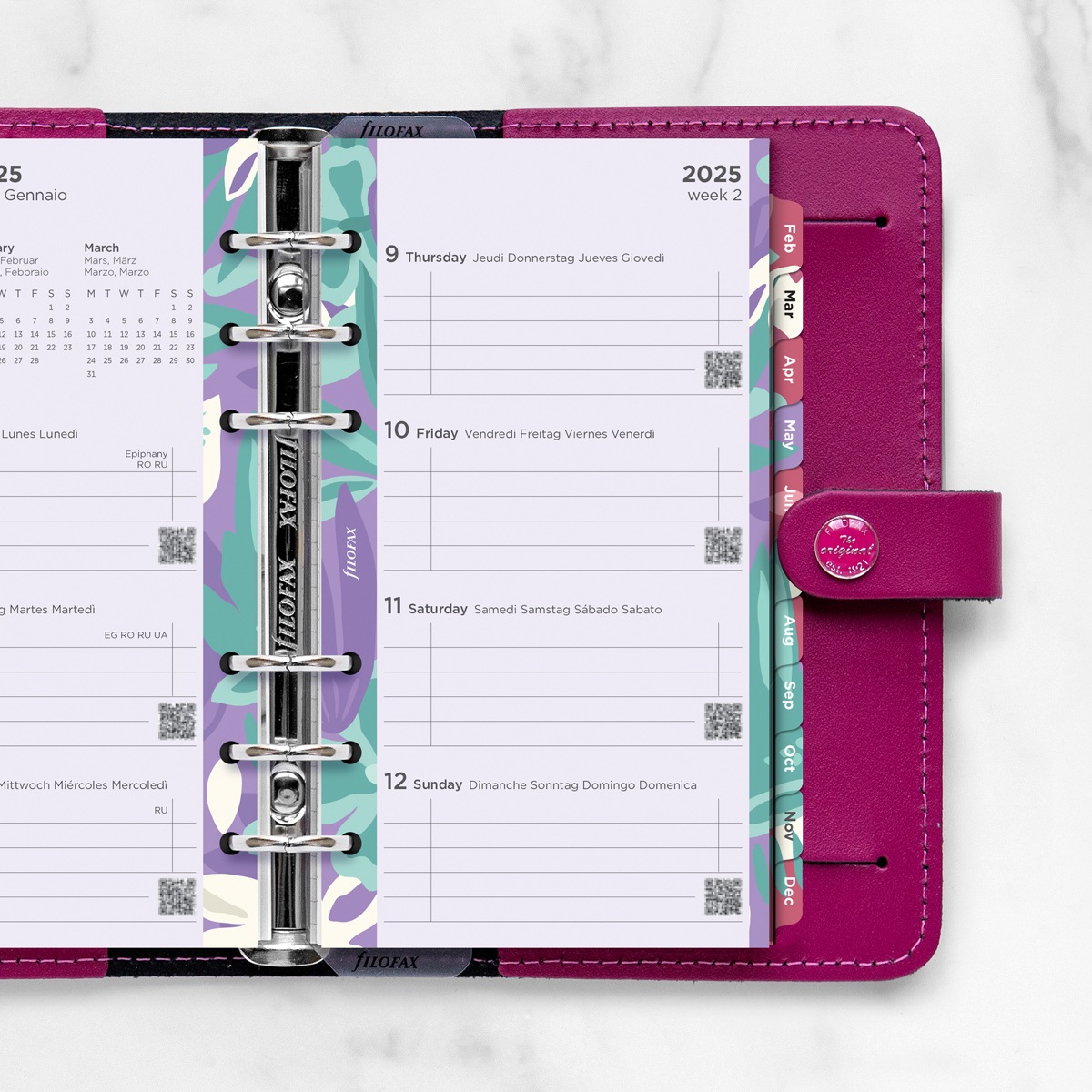 ե ꡼ե륻å 1 2026Х֥ 饹ȥ쥤