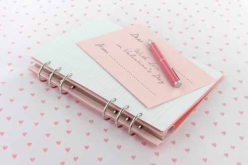 ����åץ֥å�(clipbook) A5 ������ �ե������ե��å�����