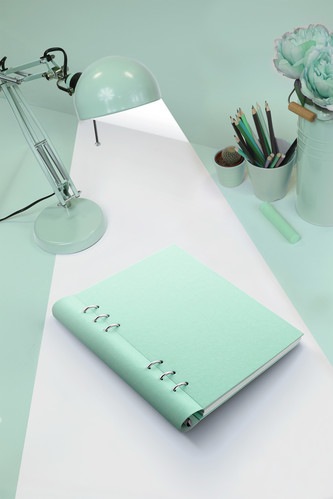����åץ֥å�(clipbook) A5 �ߥ�� �ե������ե��å�����