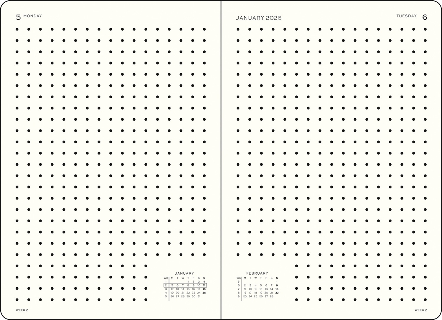 ǥ꡼ɥå ߥǥʣ 饤󥰥 2026ǯ