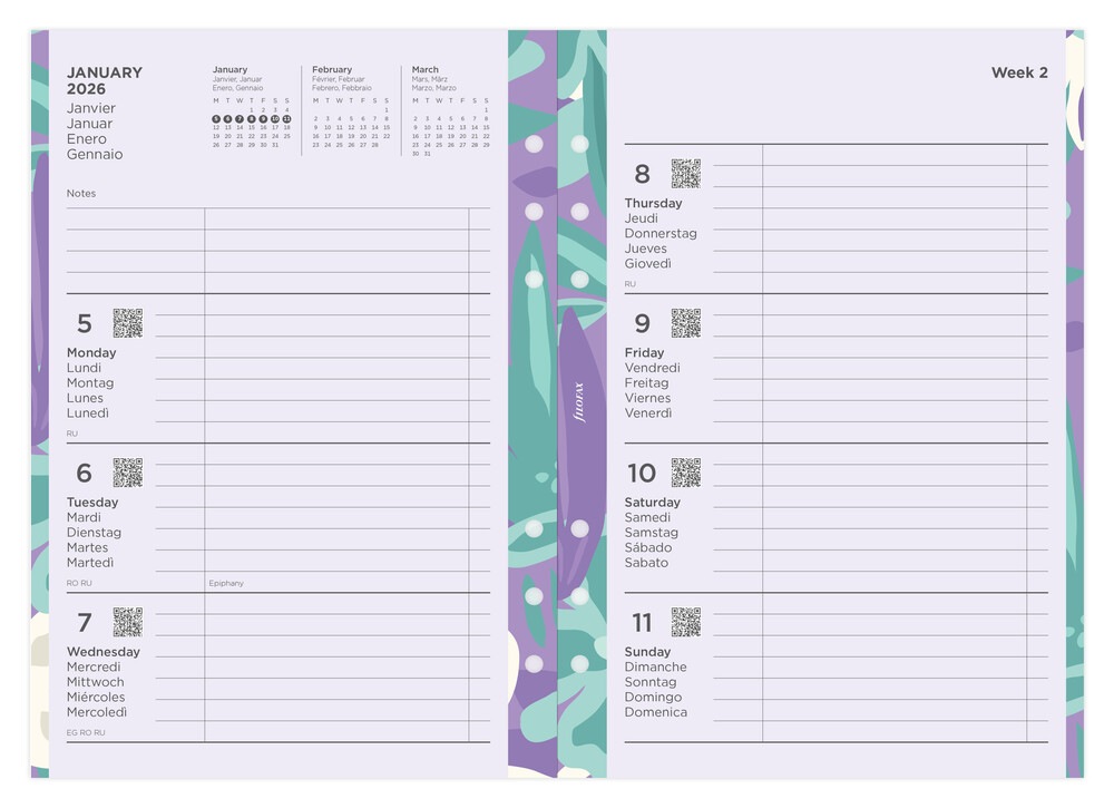 �ե������ �������꡼��ե��륻�å� ������1���� 2026��A5 ���饹�ȥ쥤��