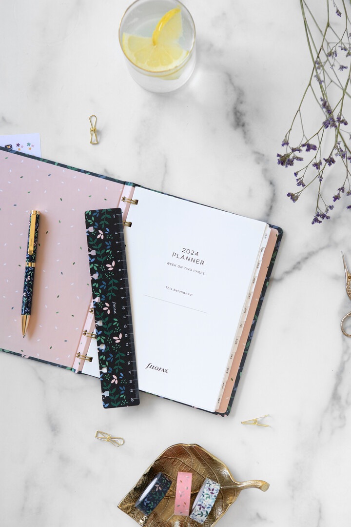 ܡڥ󡡥ǥ󡡥եեå