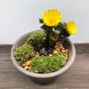�ե����好�� ʡ���� ���ߺ� ʡ���� 6���� ȭ����