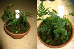 �������Υ�