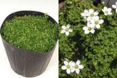 �ϥ��業����