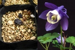 Ȭ���ĥ����ޥ�