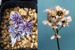 �������ȡ��ʥե���ϥ�������