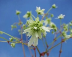 ��ʸ����˨