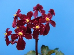 ��ʸ���𡡹���