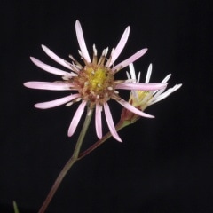 ���亮������