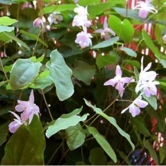 �����Х��������꥽��