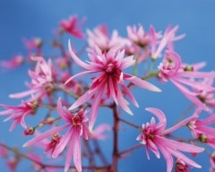 ��ʸ���������