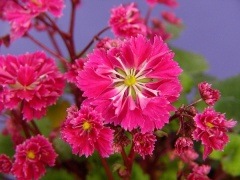 ��ʸ���𡡲���