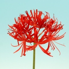 Ȭ�ź�ҥ���Х�