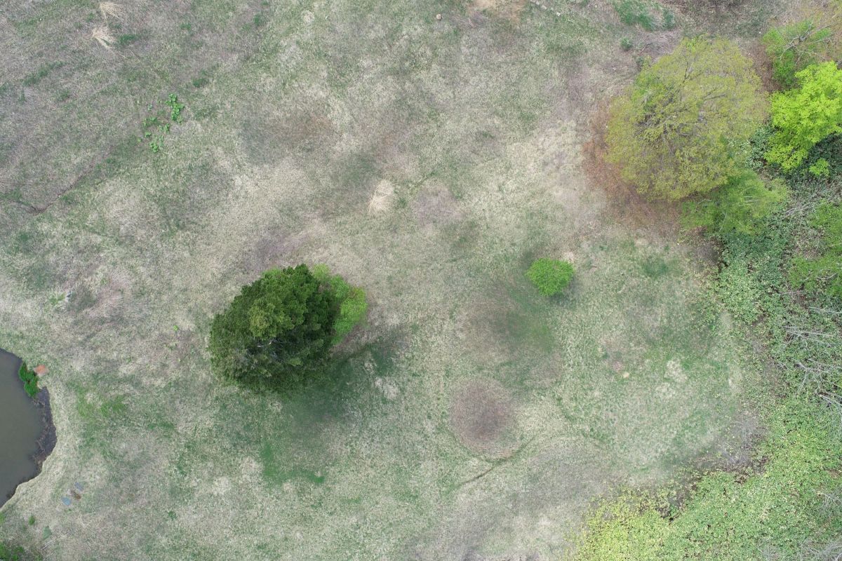 �ڿ����������2026ǯ�� �ɥ������������Ծ�