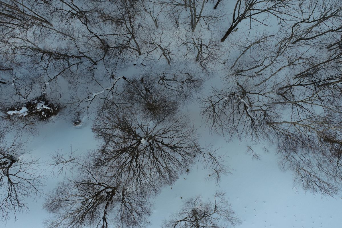 �ڹ�����2026ǯ�� �ɥ������������Ծ�