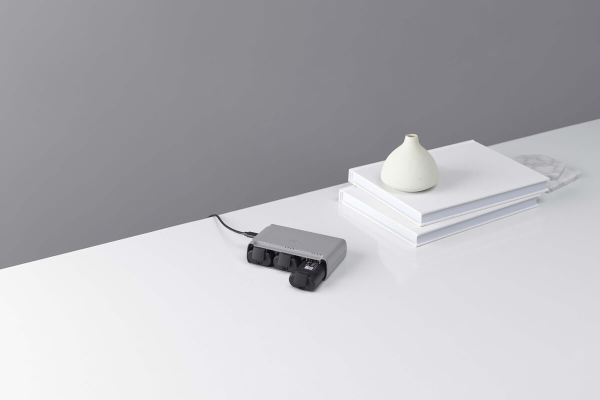 DJI Mini 2 2WAY ���ťϥ�