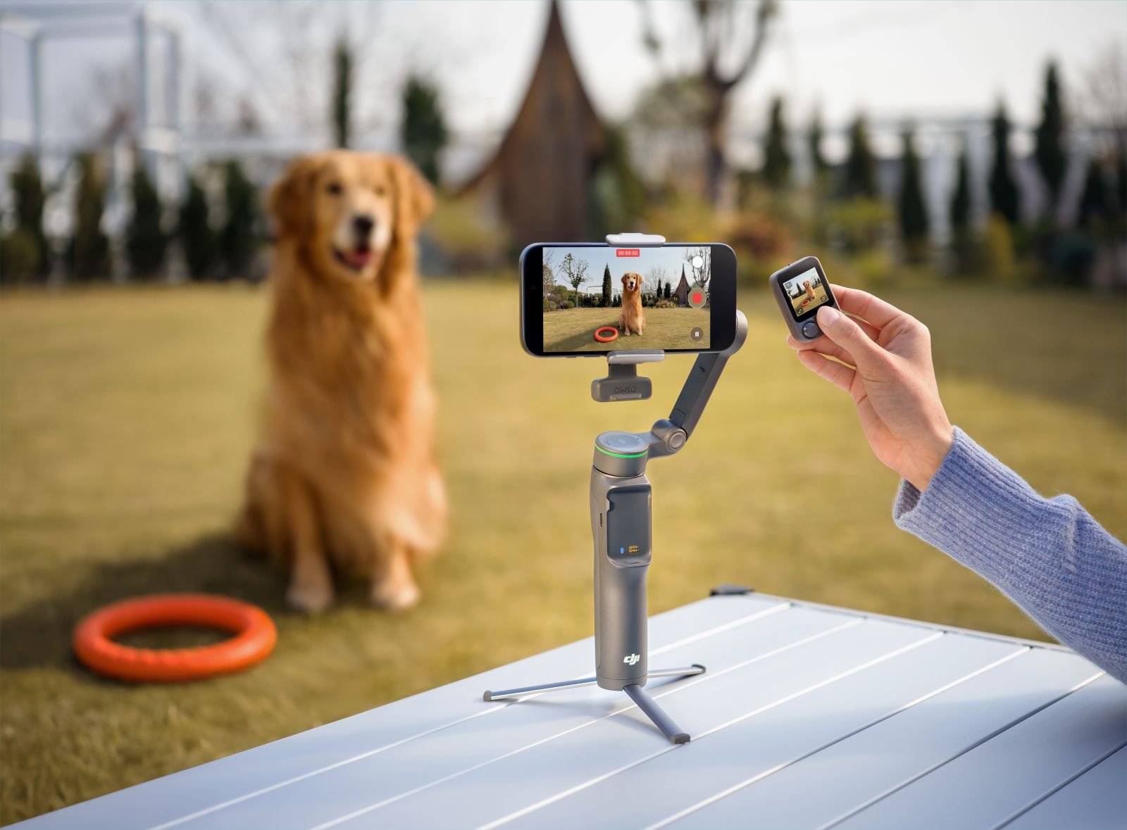 Osmo Mobile 8P ���ꥨ�����������