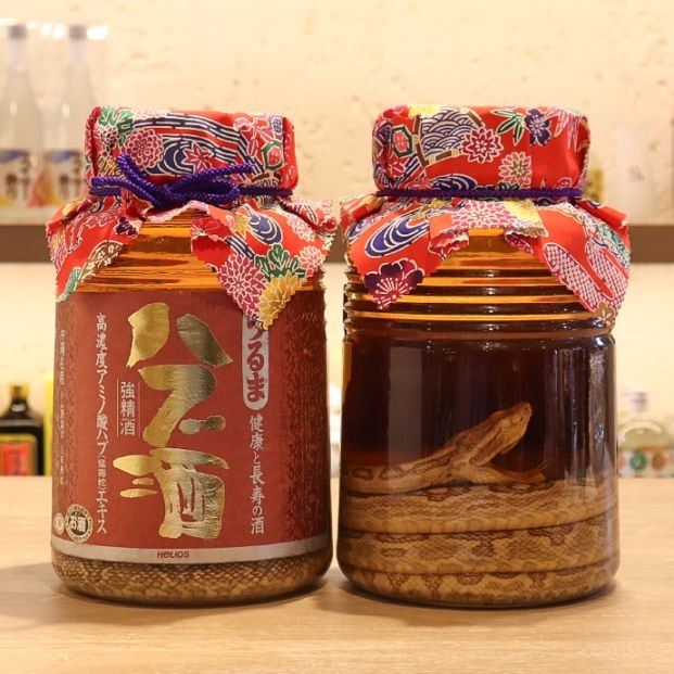 沖縄唯一のラム漬けハブ酒「うるま」ハブ入り｜40% 3800ml Mサイズ