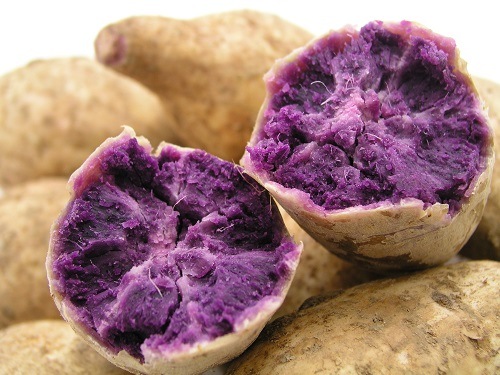 츩Ȥ100¤ܳʤ عȰ25١720ml