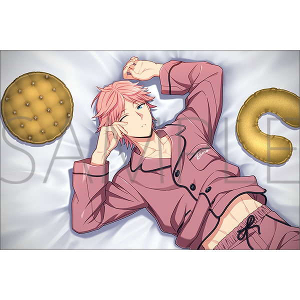 BIRTHDAY PILLOW SERIES／ディノ・アルバーニ