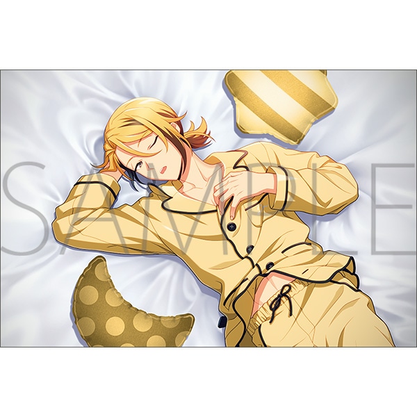 BIRTHDAY PILLOW SERIES／レオナルド・ライト・Jr