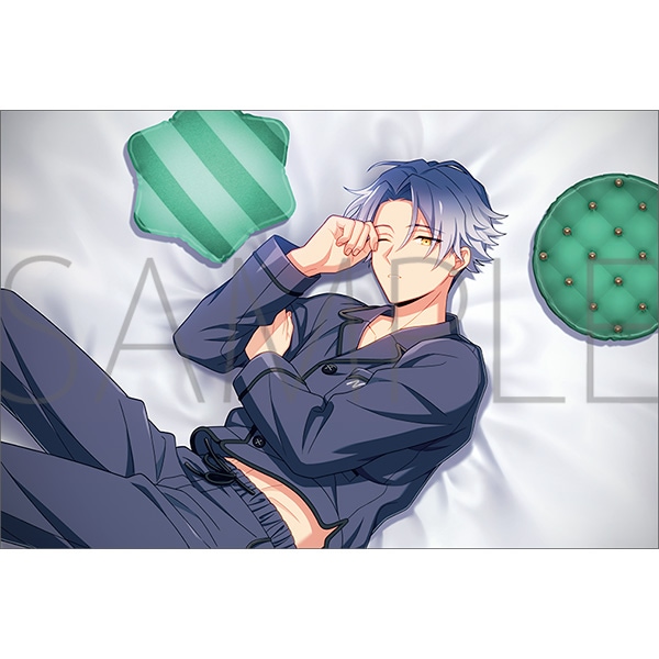 BIRTHDAY PILLOW SERIES／ニコ
