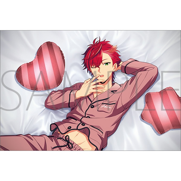 BIRTHDAY PILLOW SERIES／鳳アキラ