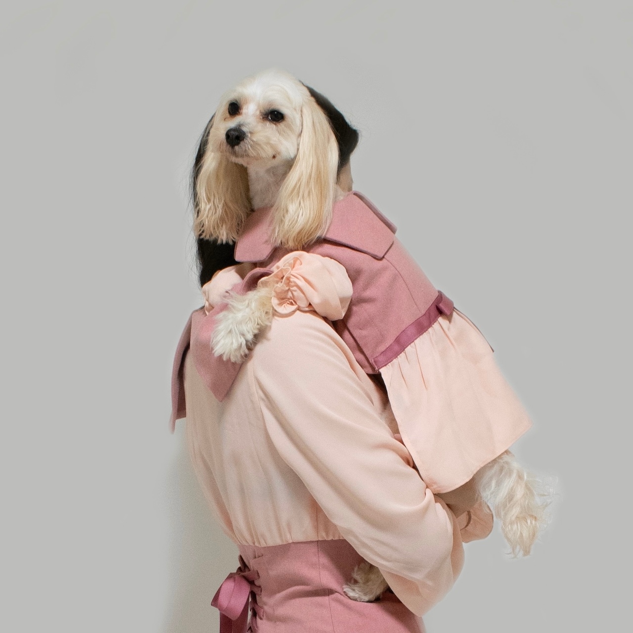 ビッグカラーワンピース for Dog | ワンピース | heno anela