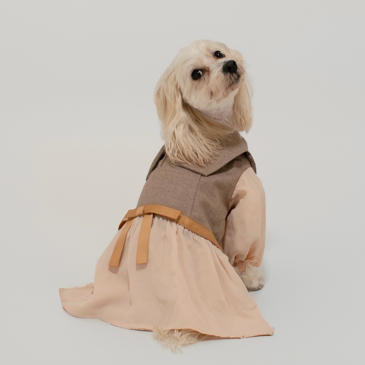 ビッグカラーワンピース for Dog | ワンピース | heno anela