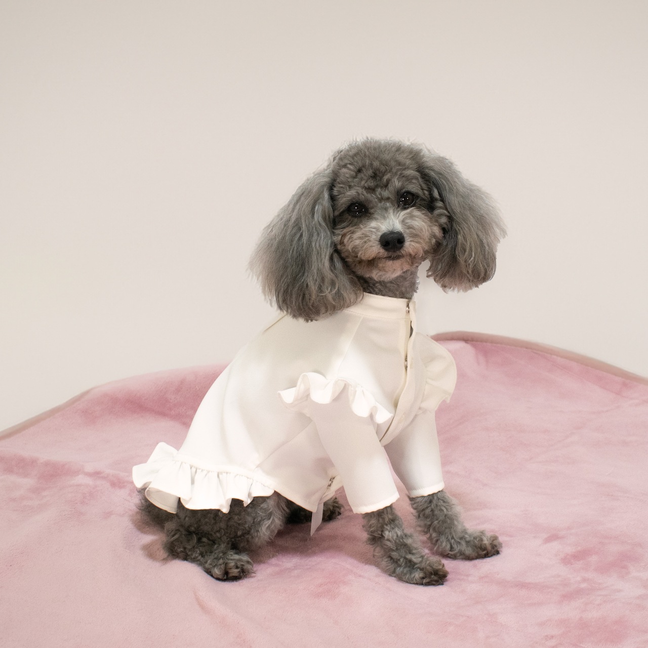 リボンワンピース for Dog | ワンピース | heno anela