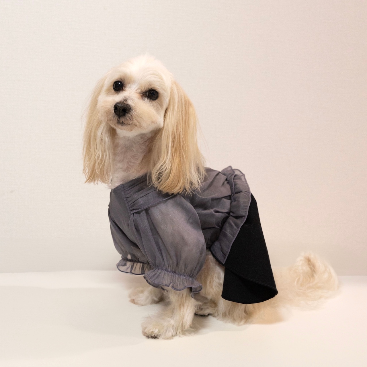 カシュクールワンピース for Dog | ワンピース | heno anela