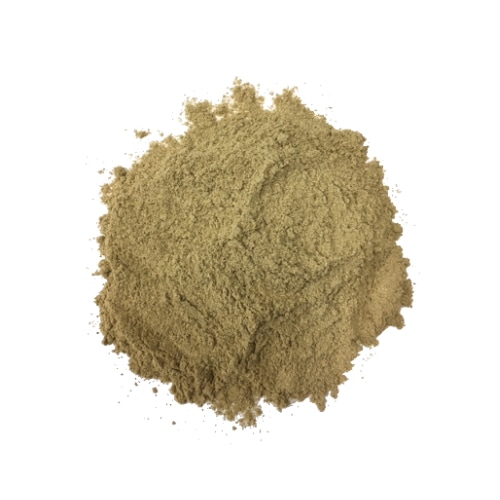 ٥ꥢ󥸥󥻥 ѥ 20g 100g 1kgϡ֥ƥ  ̵ź ŷϡ100% ɥ饤ϡ ϡХꥹ ̳