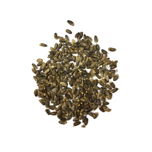 ߥ륯 20g 100g 1kg  ϡ֥ƥ  ̵ź ŷϡ100% ɥ饤ϡ PRO ϡХꥹ ̳