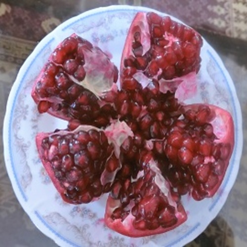 ザクロジュース 500ml ざくろ ストレートジュース