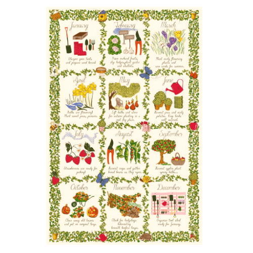 ���륹�����������С��� �������ǥʡ������������� ��