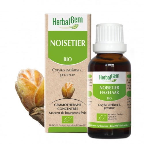 ϡХ른 ءʥå 15ml ǥ 󥰥 ϡХ ץ ΥϥХ ⥻ԡ BIO Hazelnut NOISETIER