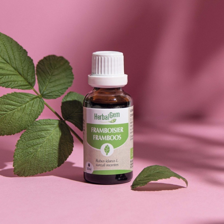 ϡХ른 եܥ BIO 15ml 饺٥꡼ ̣ м եƥå ϡ ץ եॱ ʹ FRAMBOISIER