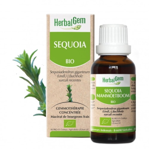 ϡХ른  (㥤ȥåɥå) 15ml 50ml ǥ ϡХ ץ ⥻ԡ BIO Redwood Giant SEQUOIA