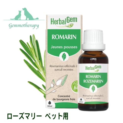 Saje、セージナチュラルウェルネス、ペパーミントハロ詰め替え用３０ｍｌ Saje、セージナチュラルウェルネス、ペパーミントハロ詰め替え用