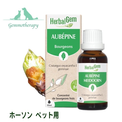 ジェモセラピー ホーソン ペット用 30ml ホウソン ジェムレメディ シングル ハーバル サプリメント 猫用 犬用 西洋サンザシ BIO Hawthorn AUBÉPINE
